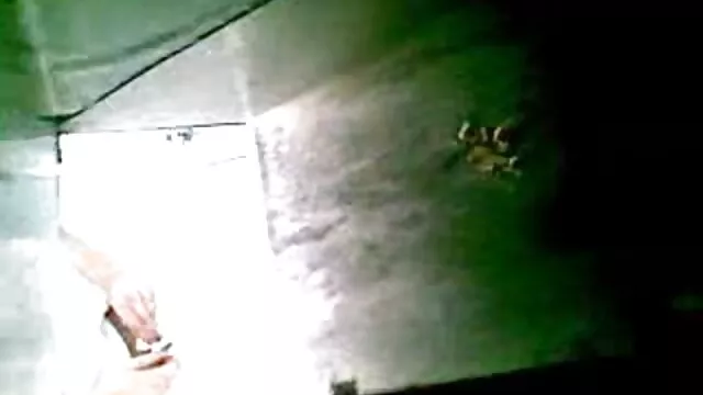 Simulator Ebony sex dewasa bergambar kaki besar dirusak ayam atlet