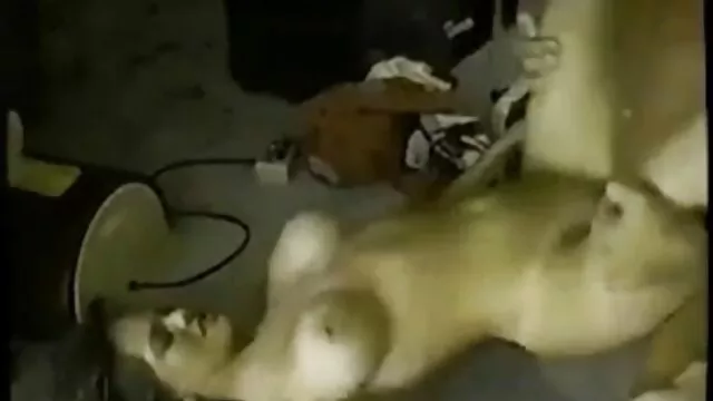 Pembeli Toy ritel hubungan intim terhot di ruang ganti